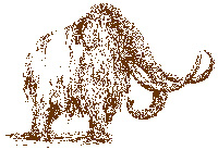 A pencil drawing in brown of a shaggy coated woolly mammoth with long tusks. A pencil drawing in brown of a shaggy coated woolly mammoth with long tusks.