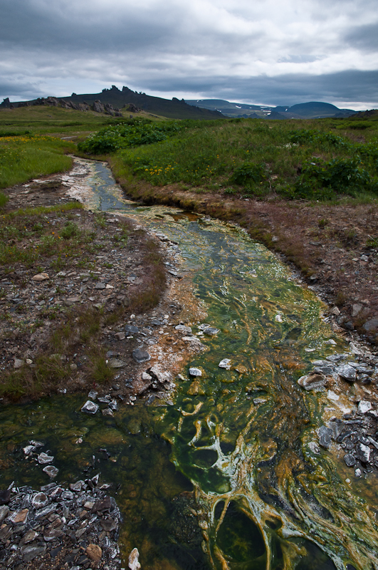 Green, orange, and yellow algae grows thick on the surface of the river winding away from Arctic Hot Springs
