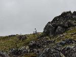 Distant Caribou and Serpentine Tors