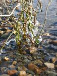 Signs of Winter