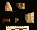 Serpentine Area Fluted Points