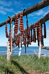 Strips of red salmon hang from a wooden rack on a grassy shore, with blue sky and water in the background