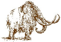 A pencil drawing in brown of a shaggy coated woolly mammoth with long tusks.