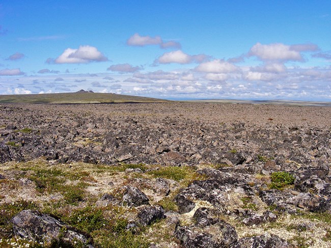 Imuruk Volcanic Field