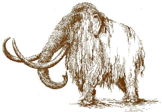 A brown line drawing of a woolly mammoth