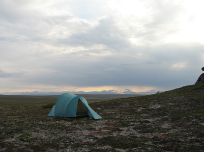 Blue tent set up at a tundra campsite at Serpentine Hot Springs on an overcast day. 