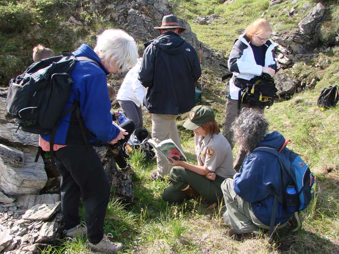 A ranger and a group of hikers identifying flowers. 