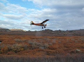 plane hovering about the orange fall foliage with mountains in the background.