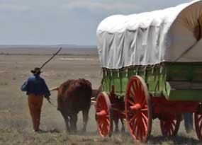 sft-caravan