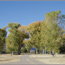 Cottonwood Campground