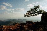 View from the South Rim