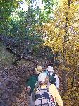 Fall colors in Boot Canyon