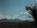 Desert View of the Chisos