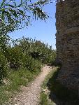 Trail to the Hot Spring