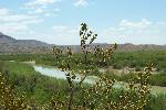 Along the Rio Grande