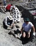 Preliminary Excavations in 1999