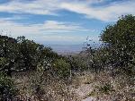 View from the Rim