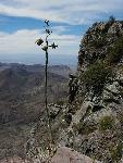 View from the Rim