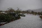 Snow at Panther Junction