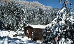 Boot Cabin in snow