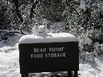 A snow bear, instead of a snow man