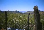 View of the Homer Wilson Ranch