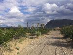 View of the primitive River Road