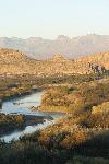 View of the Chisos Mts from the Rio Grande