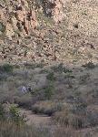 Hikers on the Grapevine Hills Trail