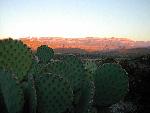 Sierra del Carmen at sunset