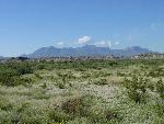 Chisos Mountains, as seen from Tornillo Flat