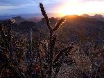 Sunset over the Mule Ears peaks