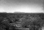 Agua Frio Mountain, ten miles west