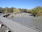 Photograph showing the beaver pond without water