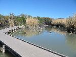 The pond refilled