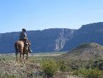 Horseback patrol