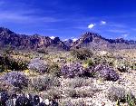 View of the Chisos Mountains