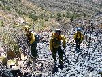 Park Rangers on the Telephone Canyon Fire