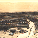 Overlooking cotton fields at Castolon, 1933