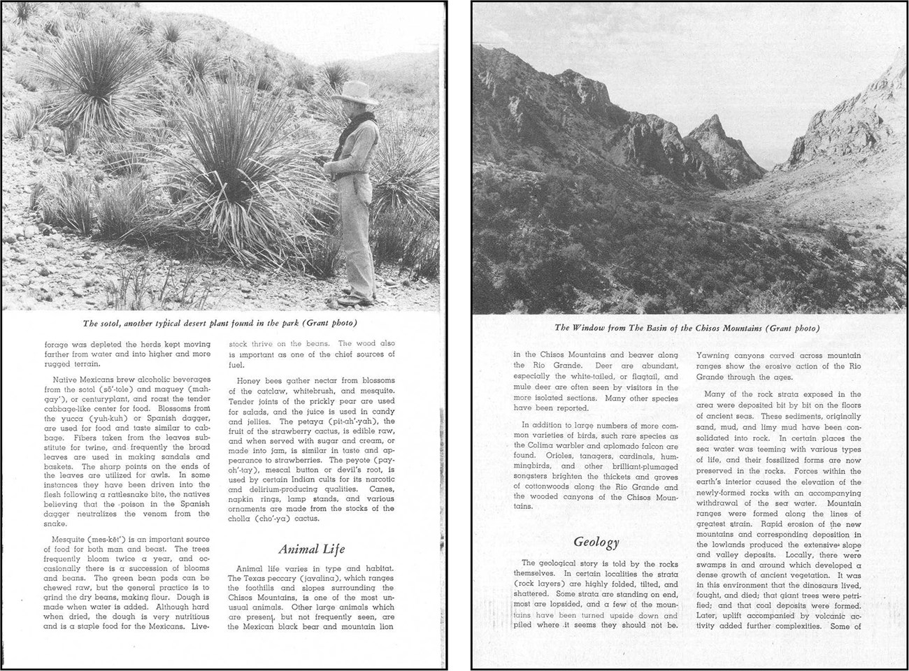 1944 Brochure Page 3