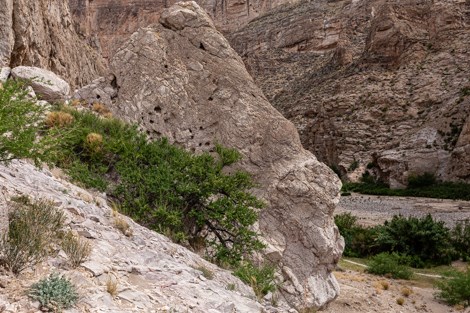 Overview of Boquillas Canyon trail along the Rio Grande.