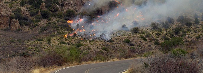 Telephone Canyon Fire