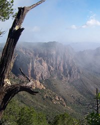 A misty morning in the Chisos Mountains