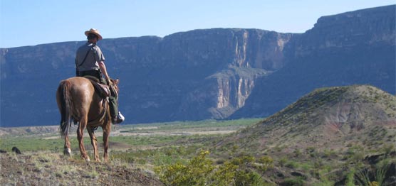 Park ranger on a horseback patrol