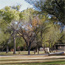 Rio Grande Village campground