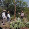 Interpretive Program