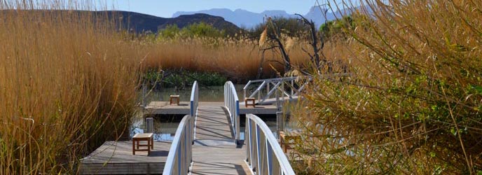 Rio Grande Village Beaver Pond