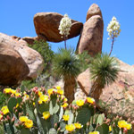 Balanced Rock