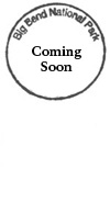 Passport stamps image