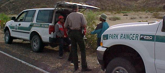 Park Rangers and Border Patrol Officers apprehending undocumented aliens inside the park.